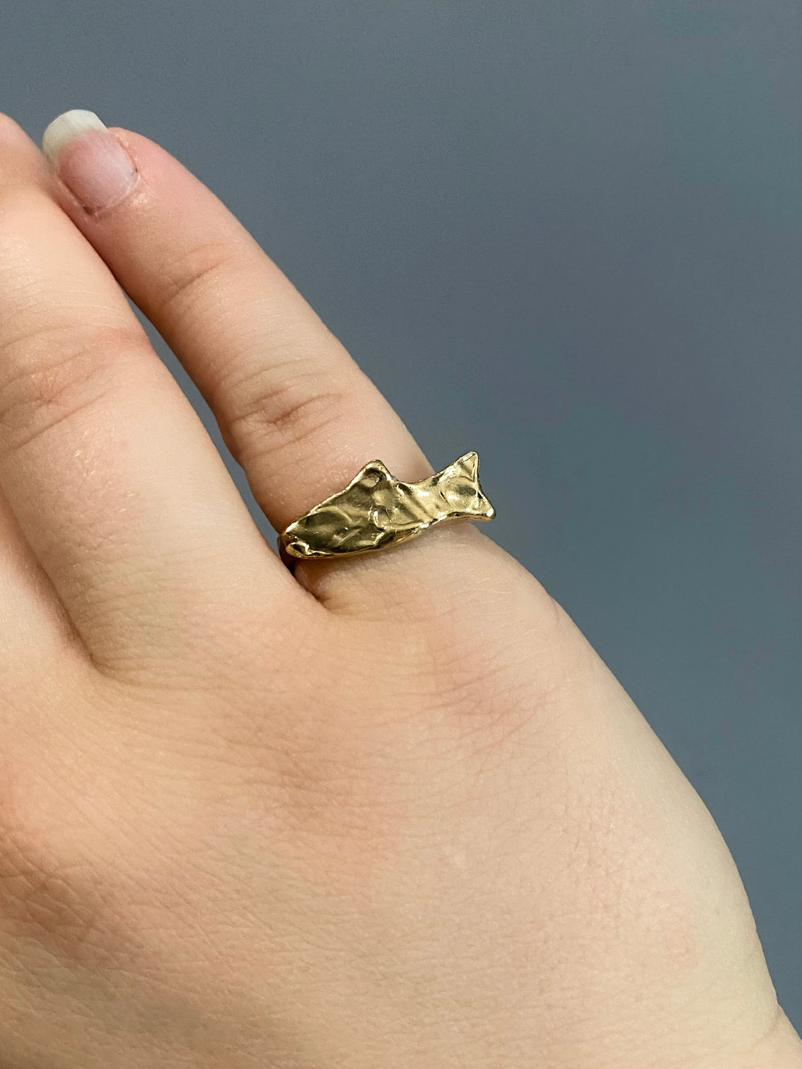 Fish Ring