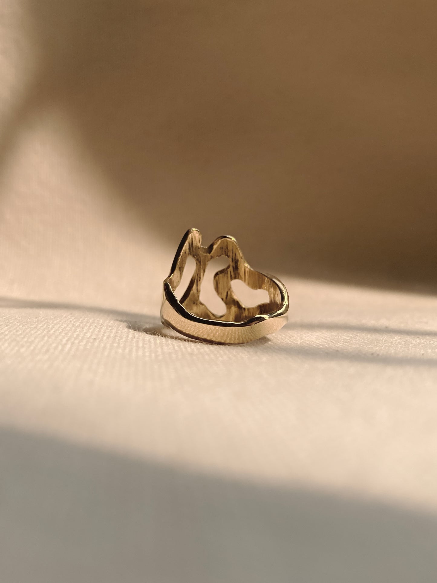 Abstract Shape Ring