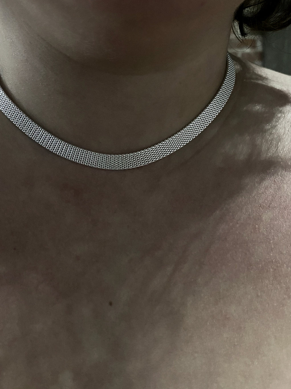 Wide silver chain on model