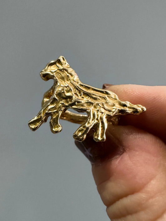 Horse Ring