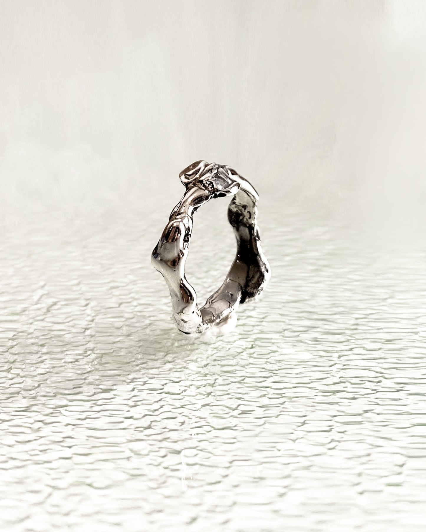 Cootes Paradise Ring